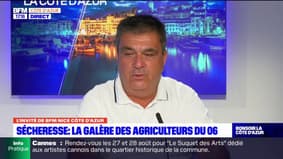 Sécheresse: jusqu'à 50% de pertes pour les agriculteurs des Alpes-Maritimes