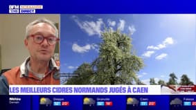 Terre et Mer du jeudi 13 juin - Les meilleurs cidres normands jugés à Caen 