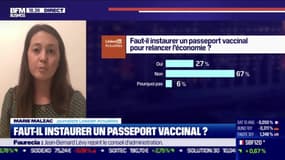 Décryptage: Faut-il instaurer un passeport vaccinal ? - 19/02