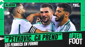 Mondial 2026 - Algérie : "Le projet Petkovic prend forme" avoue Akodo
