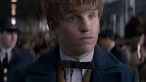 Eddie Redmayne dans "Les animaux fantastiques".