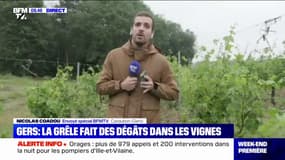 Dans les vignes du Gers, les rafales de vent, les impacts de foudre et la grêle ont fait d'importants dégâts