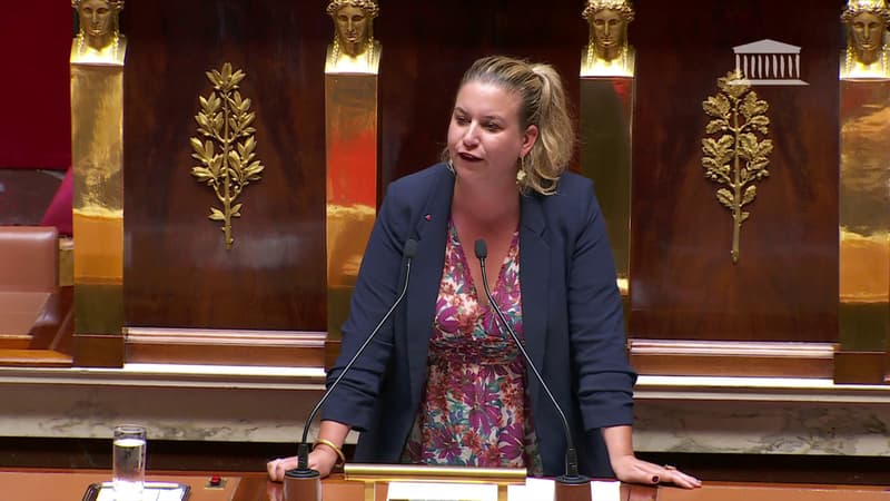 La présidente du groupe LFI à l'Assemblée nationale, Mathilde Panot, défend une motion de censure contre le gouvernement d'Élisabeth Borne, le 11 juillet 2022.