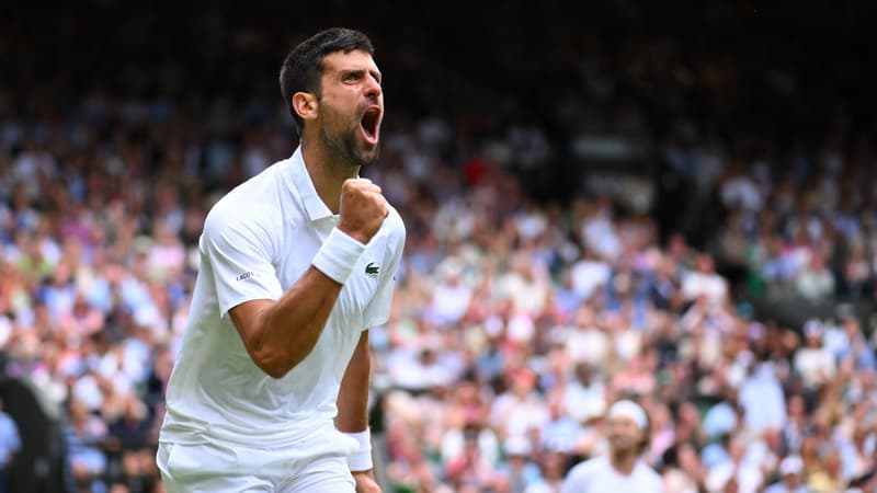 N. Djokovic