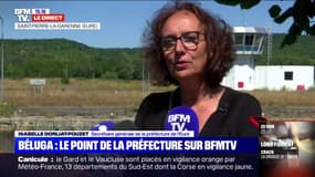 Le béluga piégé dans la Seine est "décharné" et "semble avoir des soucis d'alimentation"