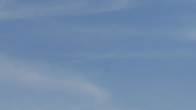 Cinq employés du château de Versailles sont accusés d'escroquerie après avoir vendu plusieurs milliers de faux billets à des touristes.