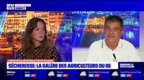 Sécheresse: quelles solutions pour les agriculteurs des Alpes-Maritimes?