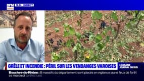 Var: "Une trentaine d'exploitations" viticoles touchées par la grêle et les incendies 