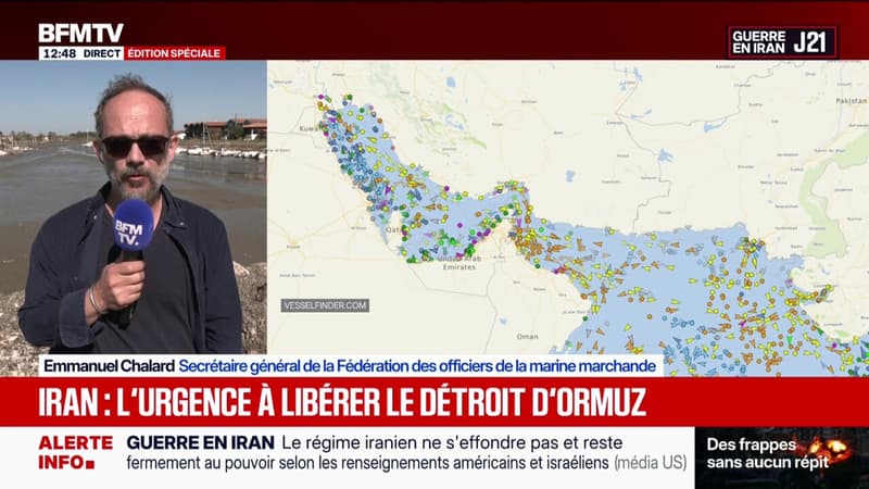 Détroit d'Ormuz: "Une cinquantaine de marins français demeurent dans la zone", affirme Emmanuel Chalard, secrétaire général de la Fédération des officiers de la marine marchande