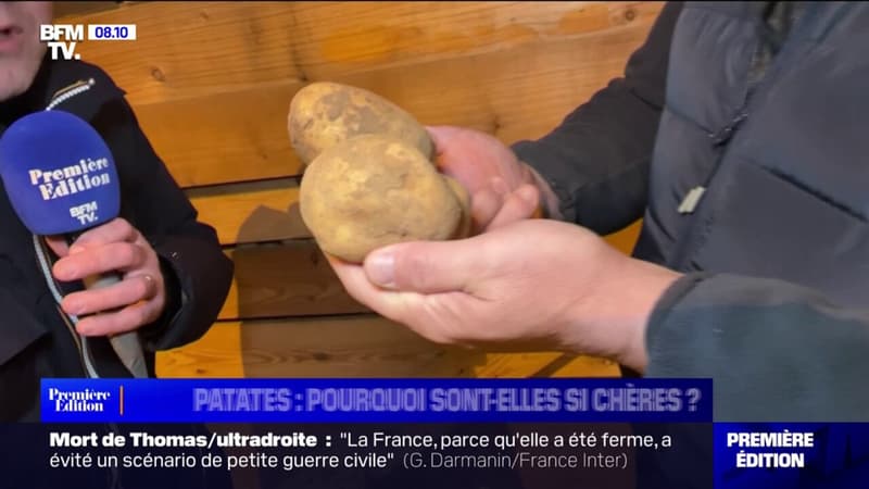 +23% en un an: comment les agriculteurs expliquent la hausse du prix des pommes de terre