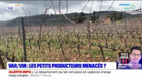 Var: un viticulteur menacé par la hausse des prix des terrains