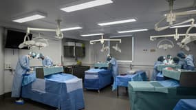 Des étudiants en médecine lors d'un cours de chirurgie sur un corps donné à la science, le 13 juin 2020 à l'Ecole de Chirurgie de l'AP-HP à Paris (Photo d'illustration).