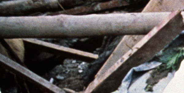Omayra Sanchez est morte en novembre 1985, coincée dans des débris après l'éruption d'un volcan. Omayra Sanchez est morte en novembre 1985, coincée dans des débris après l'éruption d'un volcan.