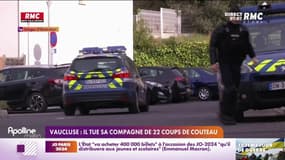Meurtre d'une quinquagénaire, par son compagnon, de 22 coups de couteau