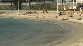 La préfecture du Var lance une alerte rouge au tsunami... par erreur