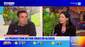 L'invité de Bonjour Alsace du mardi 18 novembre 2025 - Nicolas Lechner