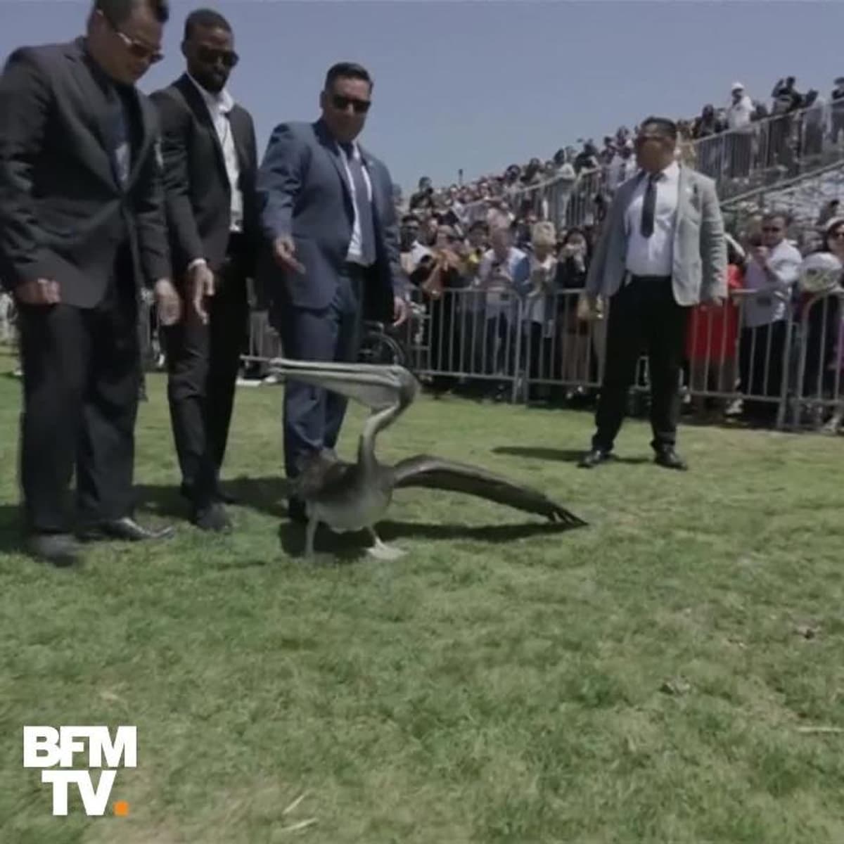 placeholder video