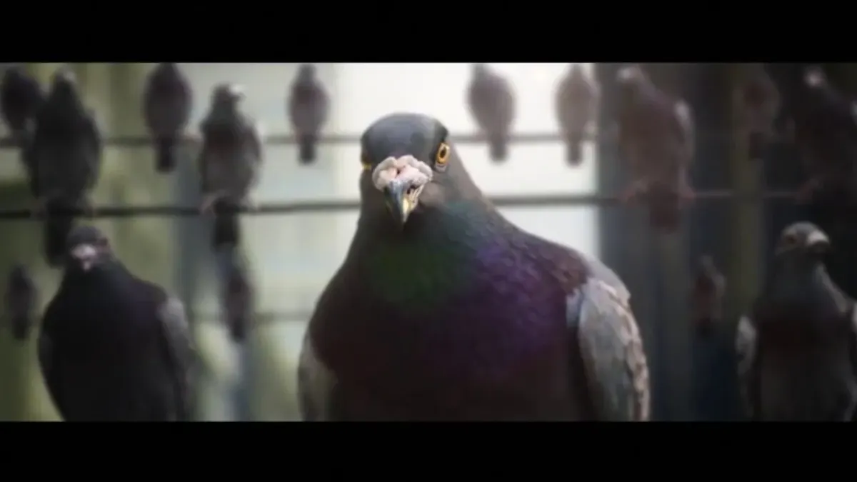 placeholder video