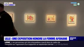 Lille: une exposition honore la femme afghane 