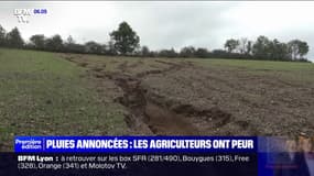 Intempéries: les agriculteurs craignent le retour des pluies