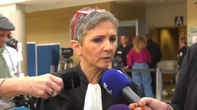 Me Béatrice Zavarro, avocate de Dominique Pelicot, devant la cour criminelle de Vaucluse, à Avignon, le 25 novembre 2024