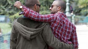 Le projet de loi sur le mariage et l'adoption pour les couples homosexuels a été adopté dans la nuit de mercredi à jeudi par la commission des Lois de l'Assemblée. /Photo prise le 1er octobre 2012/REUTERS/Régis Duvignau