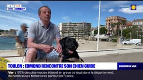Toulon: Edmond, déficient visuel de 74 ans, a un nouveau chien guide