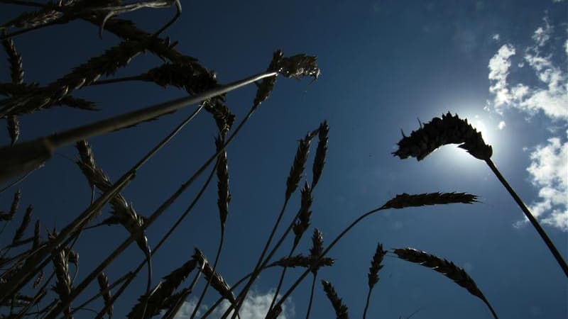 En 2012, 5% de Français en plus indiquent consommer des produits bio dans leur quotidien.