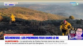 Alpes-Maritimes: neuf incendies ont touché le département
