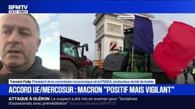 Accord UE-Mercosur: "Emmanuel Macron a lâché l'agriculture française", assure Yannick Fialip (FNSEA)