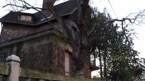 La maison de Grand-Quevilly, vraisemblablement objet des convoitises qui ont mené au meurtre du médecin retraité et de son épouse.