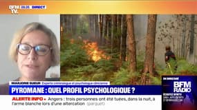 Incendies: quelles sont les différences entre un pyromane et un incendiaire?