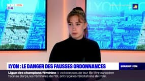 Mort de Melyne d'une overdose: "On demande la fin des ordonnances papiers pour éviter le trafic de médicaments", Léa, sa sœur