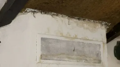 De la moisissure dans le logement d'une famille à Saint-Jeannet (Alpes-Maritimes).