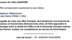 Capture d'écran d'une des annonces postées sur le site Internet de l'agence pôle emploi d'Aubigny-sur-Nère