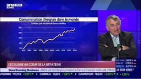 BFM Stratégie (Cours n°222): l'écologie au cœur de la stratégie - 01/04