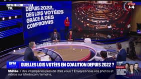 LES SCOUTS - Ces lois votées en coalition depuis 2022