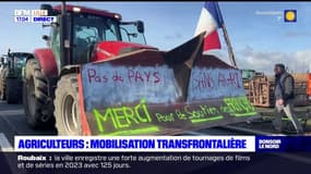 Colère des agriculteurs: les exploitants belges soutiennent leurs confrères français