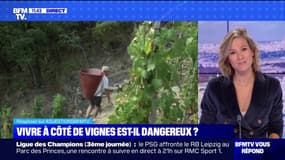 Vivre à côté d'un vignoble est-il dangereux? BFMTV répond à vos questions 