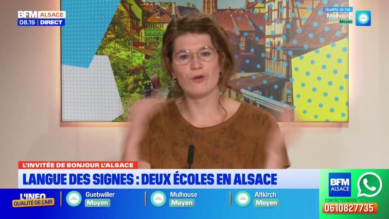 Alsace: un besoin de formation en langue des signes face à un manque d'interprètes