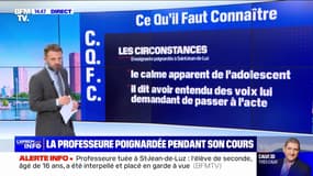 Profil de l'élève, circonstances et lieu du drame: le point sur le meurtre d'une professeure à Saint-Jean-de-Luz