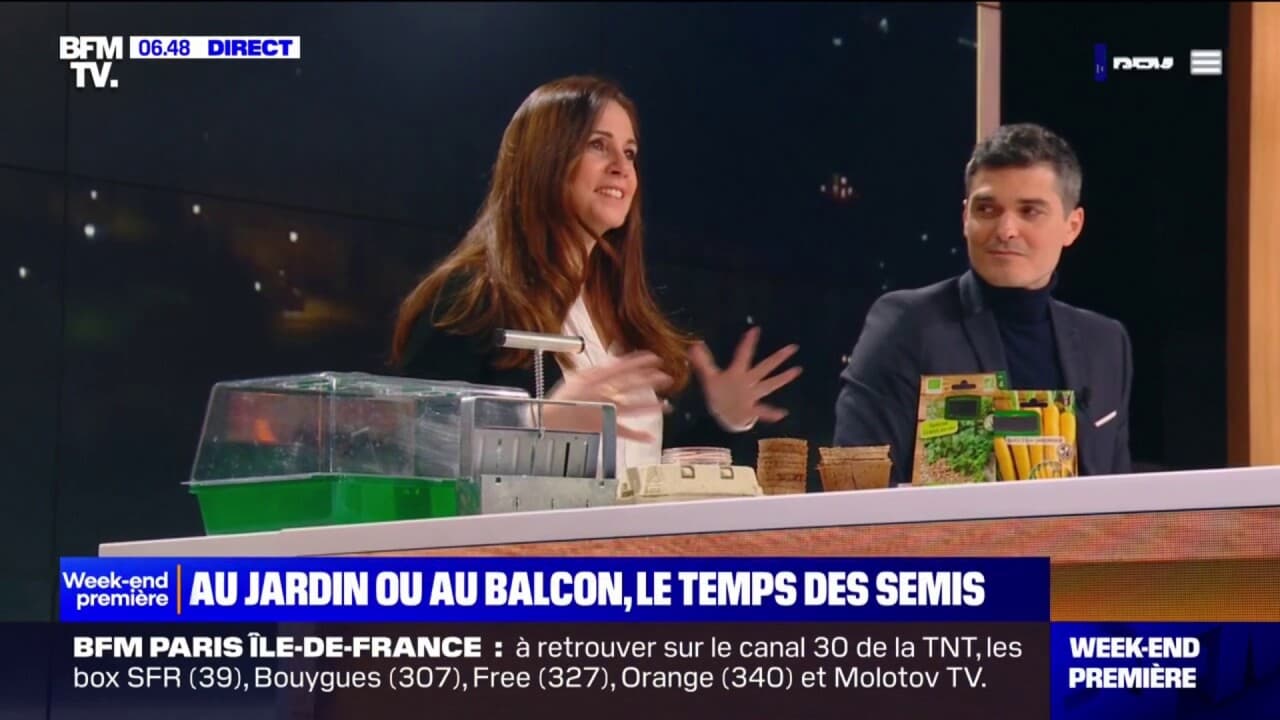 Dans son jardin ou sur son balcon: comment faire des semis pour