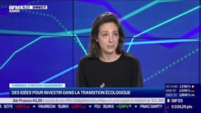 Thèmes d'investissement: Des idées pour investir dans la transition écologique - 17/11