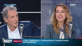 Les chats menacés par les voitures électriques: "Il faut généraliser les avertisseurs sonores"