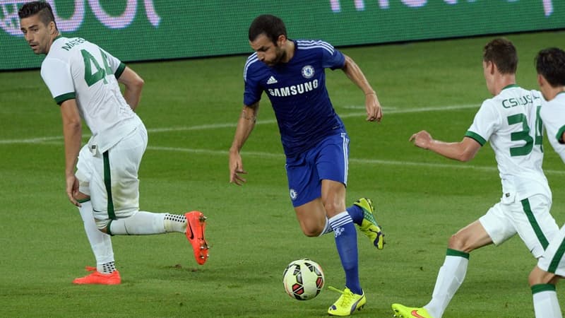 Cesc Fabregas
