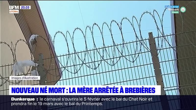 Nouveau Ne Mort La Mere Du Bebe A Ete Arretee A Brebieres Et Mise En Examen