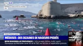 À Marseille, des dizaines de nageurs du Défi Monte-Cristo piqués par des méduses