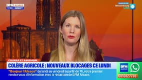 Bonsoir Alsace du lundi 12 janvier 2026