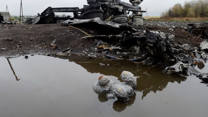 Le site où se sont écrasés les débris du vol MH17 de Malaysia Airlines est toujours considéré comme "dangereux" (photo d'illustration).