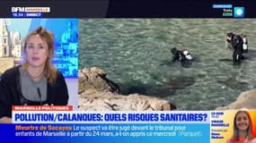 Dépollution des Calanques: l'État condamné va traiter la zone Samena en priorité